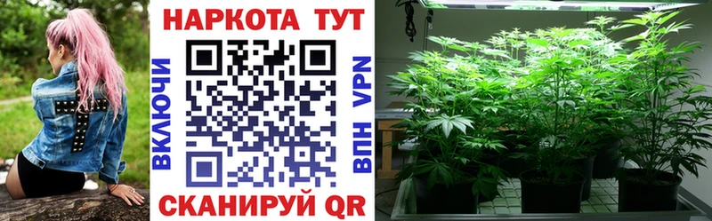 Бутират Мыски
