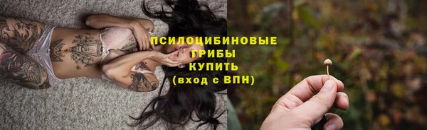 спиды Аркадак