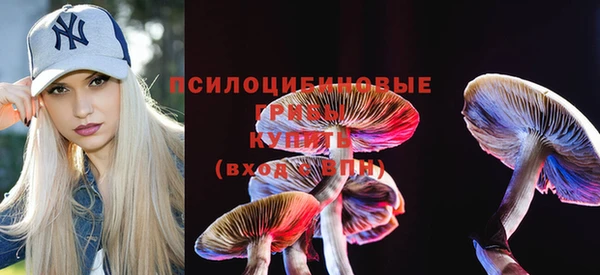 спиды Аркадак