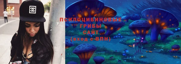 спиды Аркадак