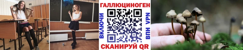 купить   Мыски  Псилоцибиновые грибы GOLDEN TEACHER 